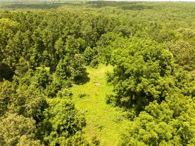 a view of a big yard with lots of bushes