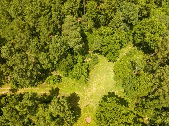 a view of a big yard