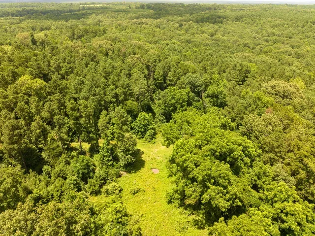 a view of a yard with an outdoor space