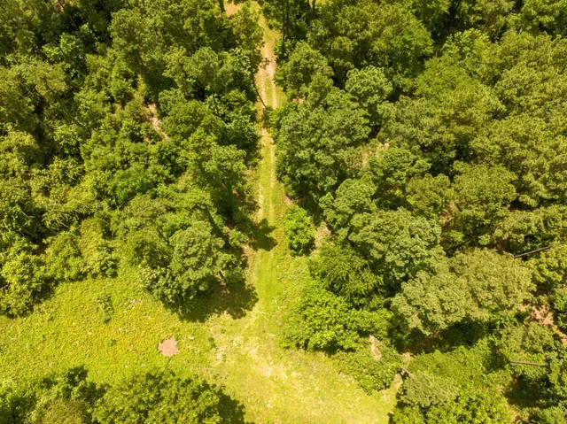 a view of a big yard