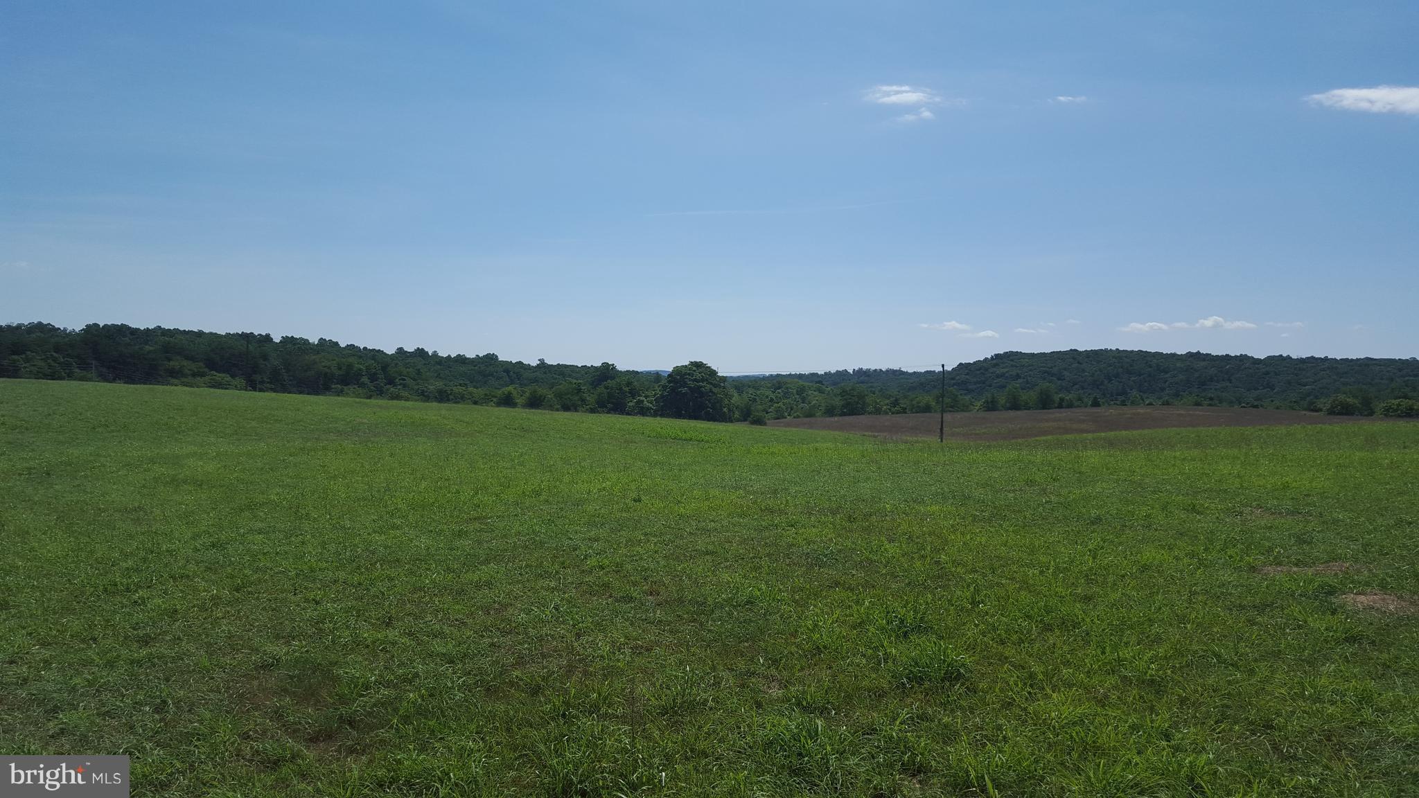 7763 River Road Hedgesville, WV 25427 - Photo 7 of 12 View