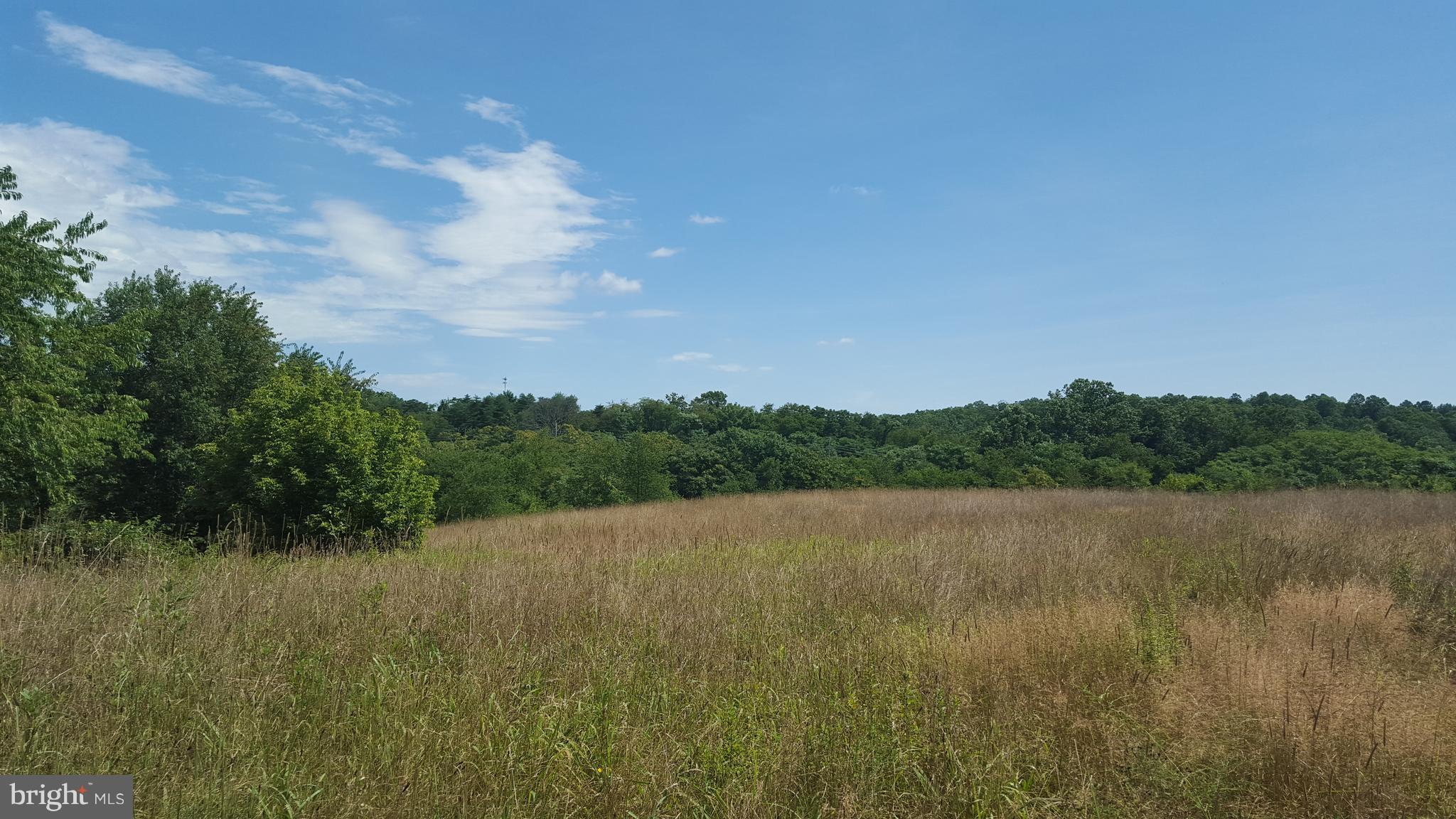 7763 River Road Hedgesville, WV 25427 - Photo 8 of 12 View