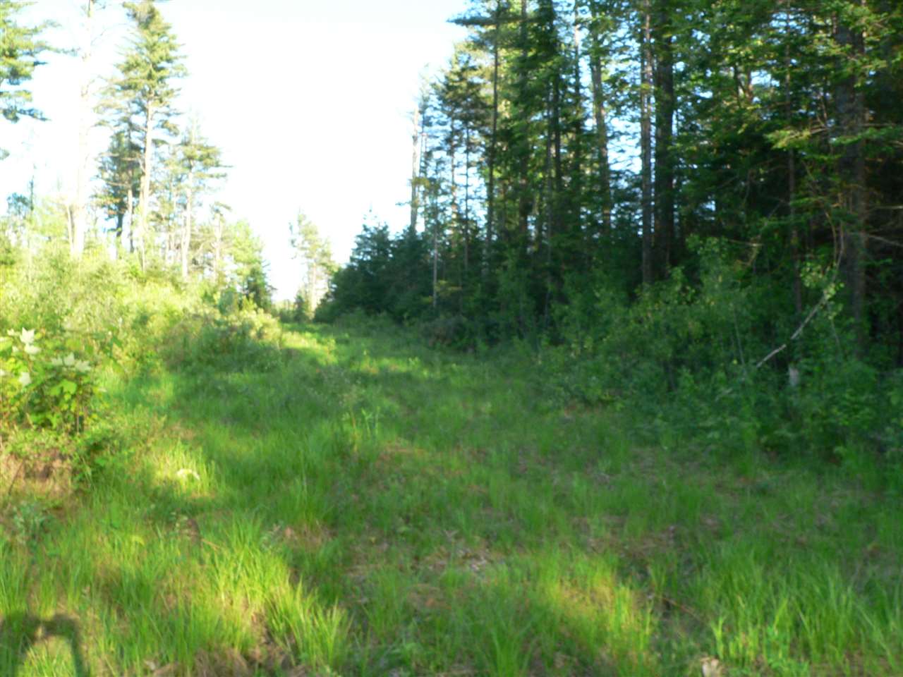 0 Kimball Hill Road Whitefield, NH 03598 - Photo 11 of 18
