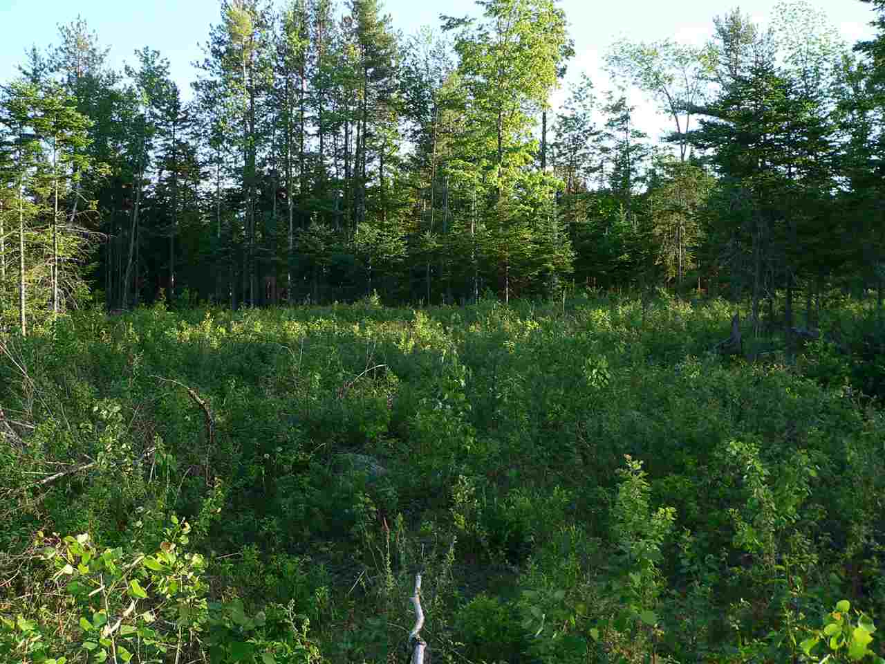 0 Kimball Hill Road Whitefield, NH 03598 - Photo 12 of 18