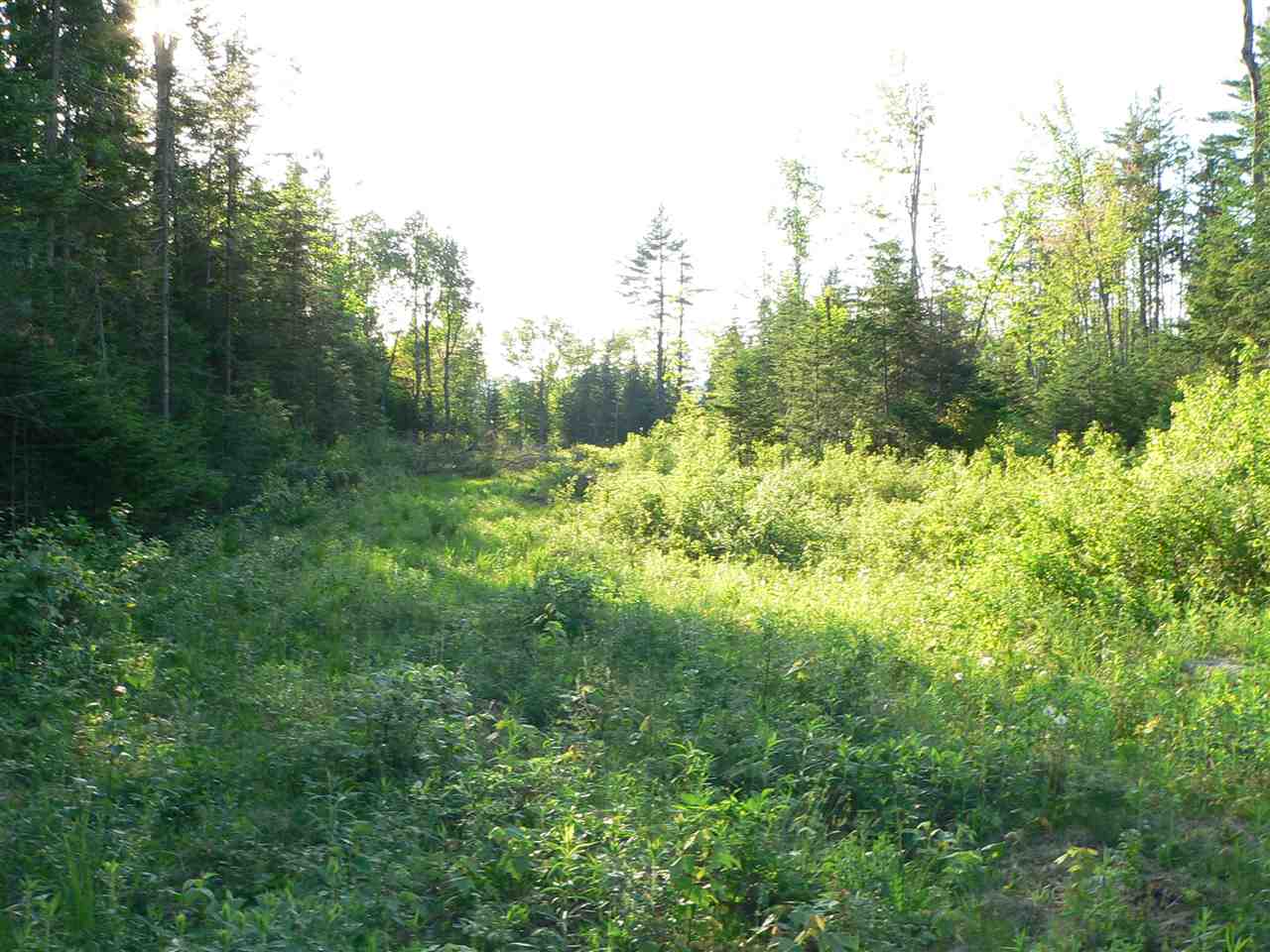 0 Kimball Hill Road Whitefield, NH 03598 - Photo 13 of 18