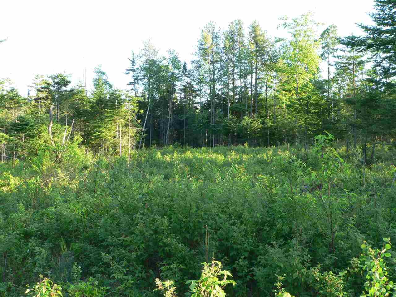 0 Kimball Hill Road Whitefield, NH 03598 - Photo 14 of 18