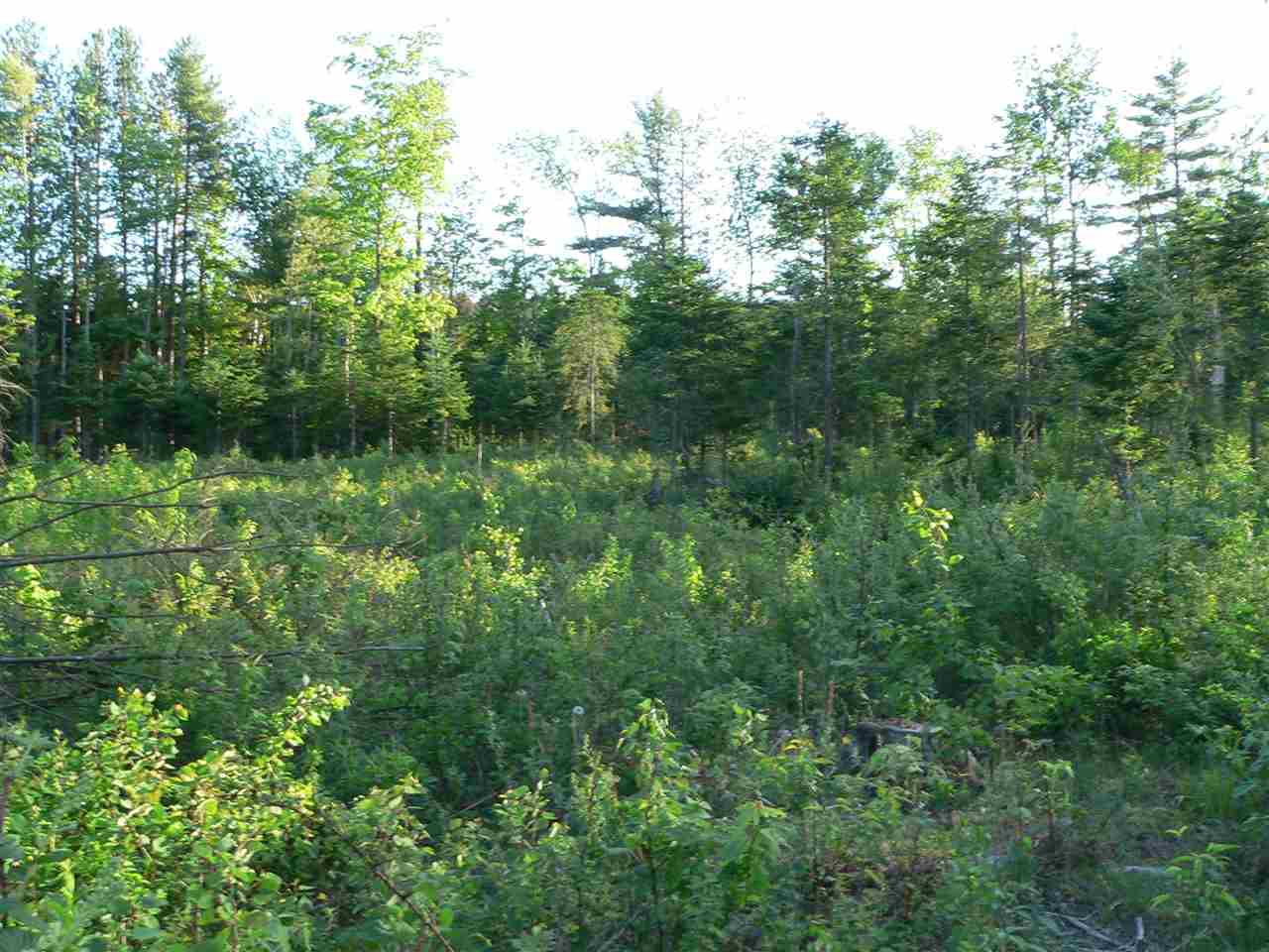 0 Kimball Hill Road Whitefield, NH 03598 - Photo 15 of 18