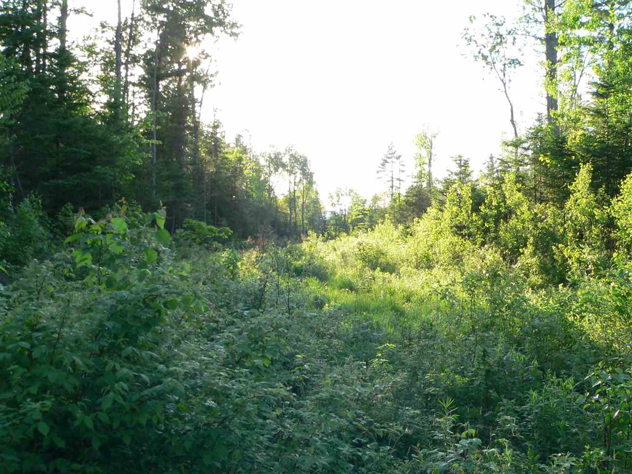 0 Kimball Hill Road Whitefield, NH 03598 - Photo 16 of 18