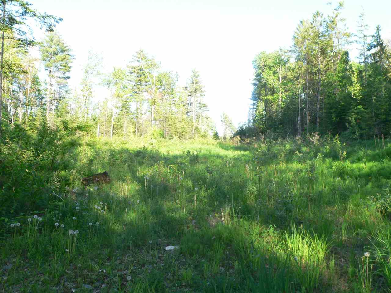 0 Kimball Hill Road Whitefield, NH 03598 - Photo 5 of 18