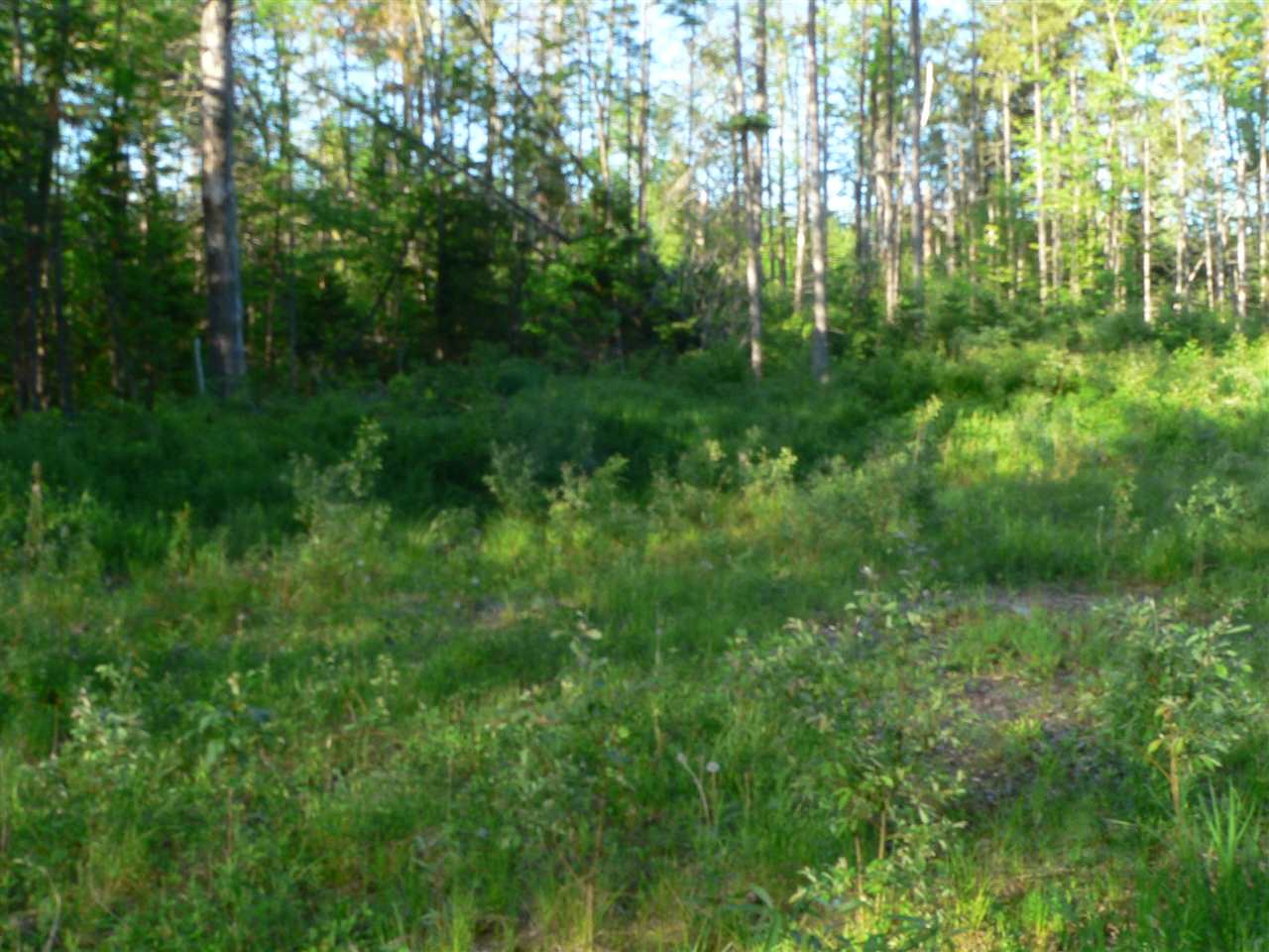 0 Kimball Hill Road Whitefield, NH 03598 - Photo 6 of 18