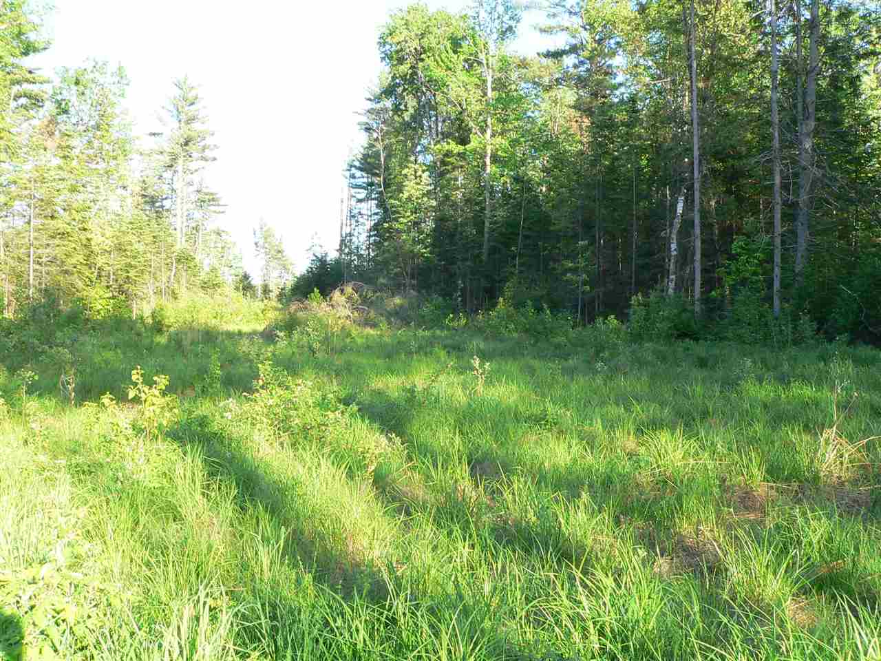 0 Kimball Hill Road Whitefield, NH 03598 - Photo 7 of 18