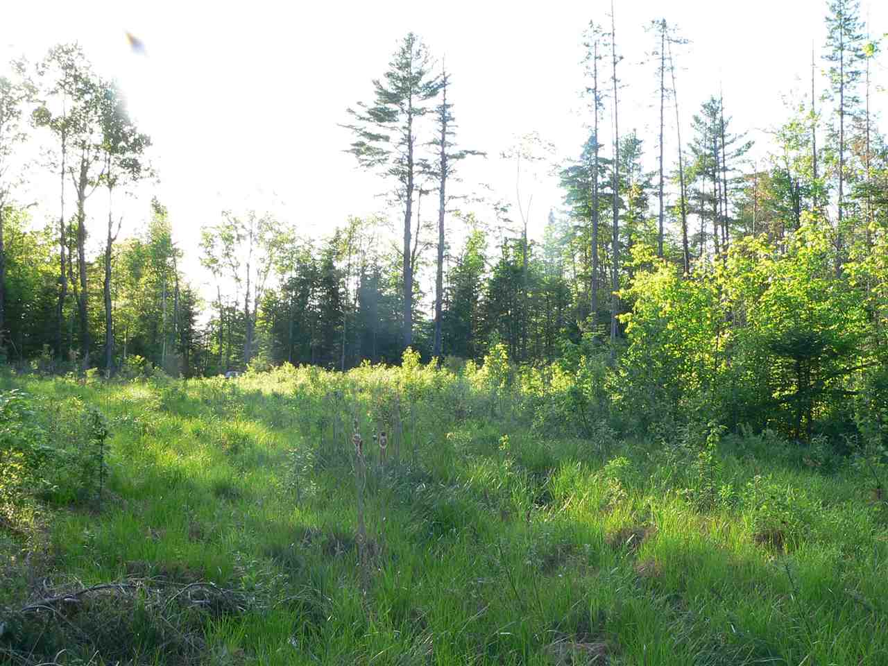 0 Kimball Hill Road Whitefield, NH 03598 - Photo 10 of 18