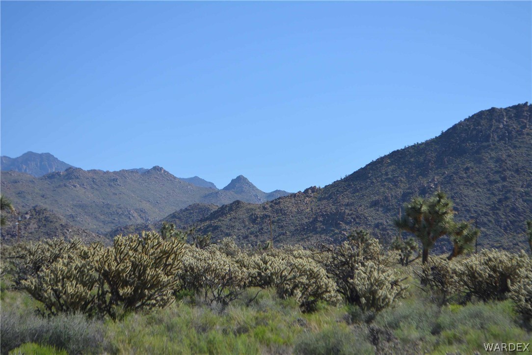 F9 Suzette Road Yucca, AZ 86438 - Photo 1 of 20 Gallery Image 1