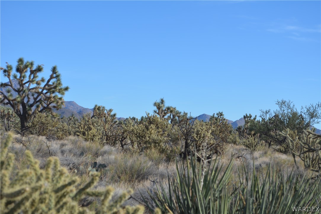 F9 Suzette Road Yucca, AZ 86438 - Photo 17 of 20 Gallery Image 17