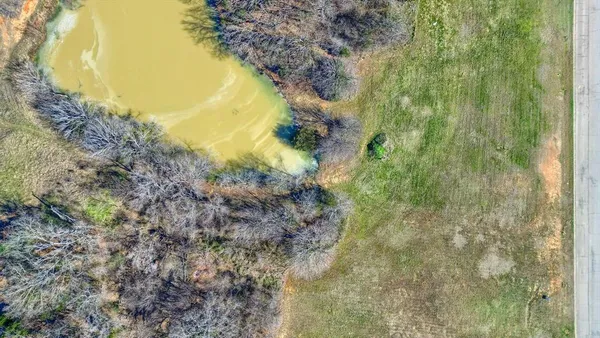 a view of a yard with a tree