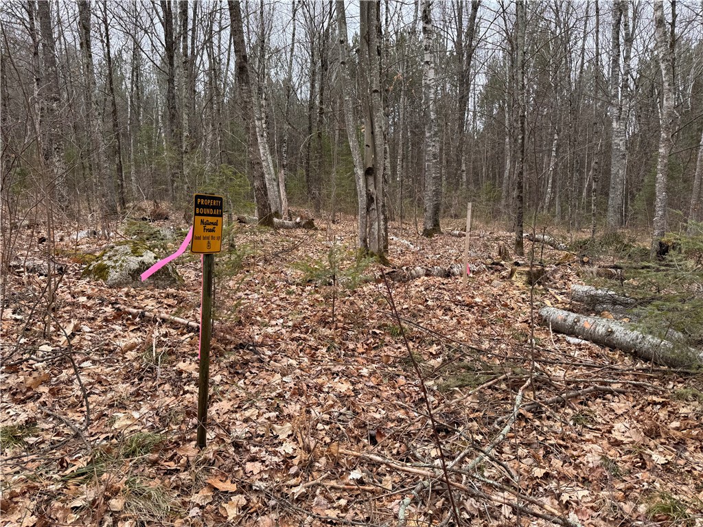 Lot 3 North Scheers Road Hayward, WI 54843 - Photo 2 of 17