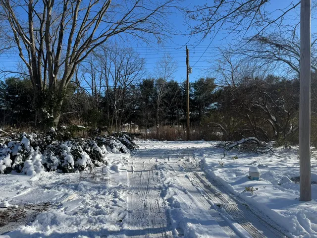 a view of outdoor space and yard