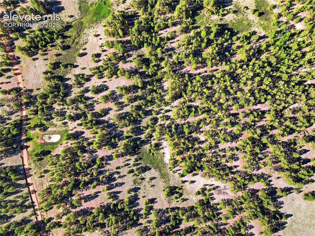 Doe Valley Road Guffey, CO 80820 - Photo 12 of 19 Aerial perspective featuring extensive tree coverage, varied natural terrain, and a visible unpaved road