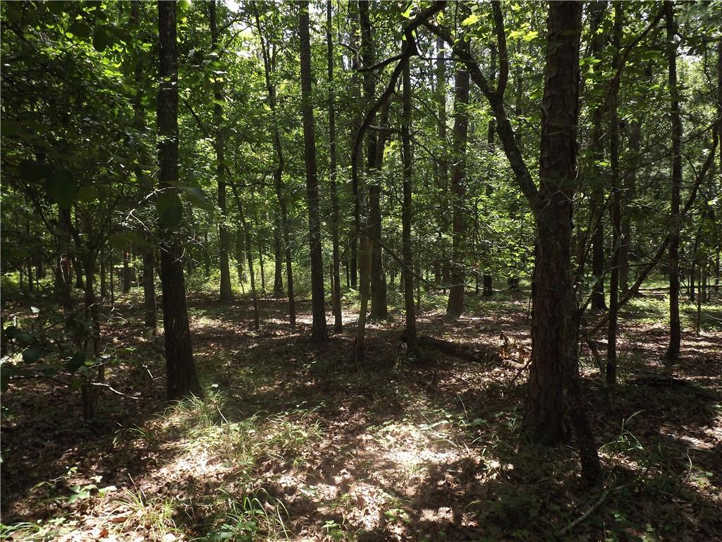 0 George Road Southwest Cave Spring, GA 30124 - Photo 18 of 22 a view of a forest with trees
