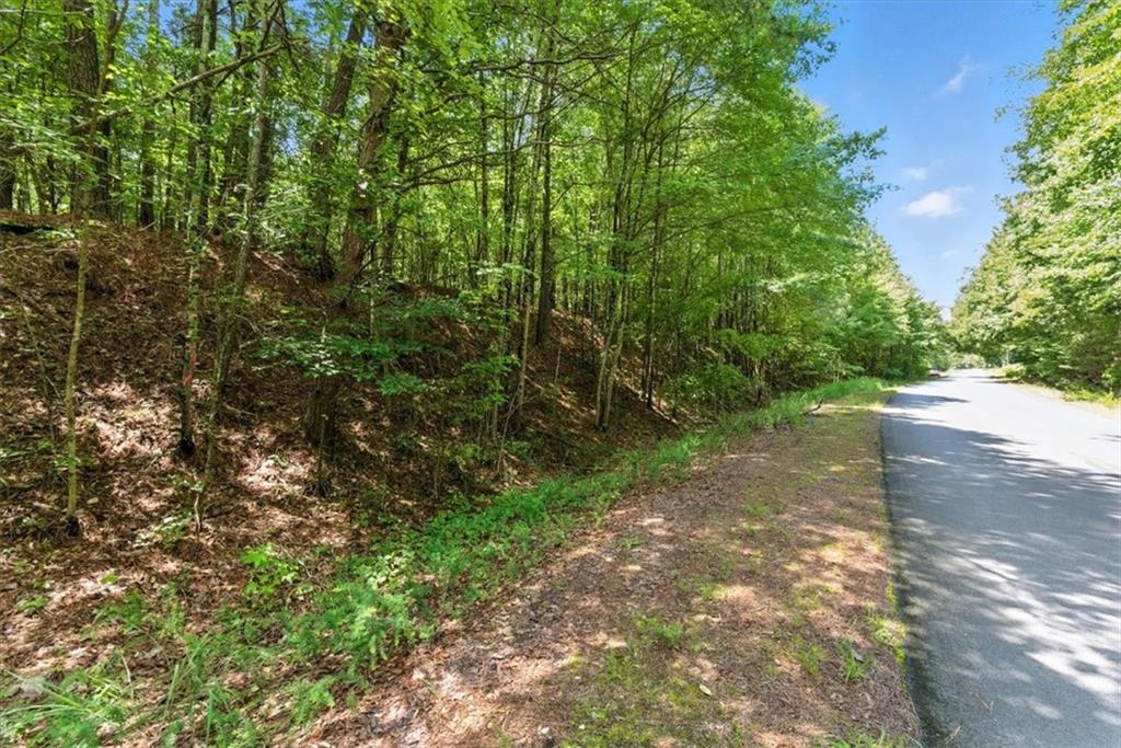 0 George Road Southwest Cave Spring, GA 30124 - Photo 3 of 22 a pathway of a yard