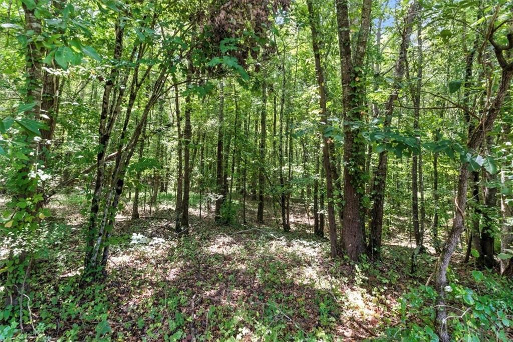 0 George Road Southwest Cave Spring, GA 30124 - Photo 5 of 22 a view of outdoor space and green space