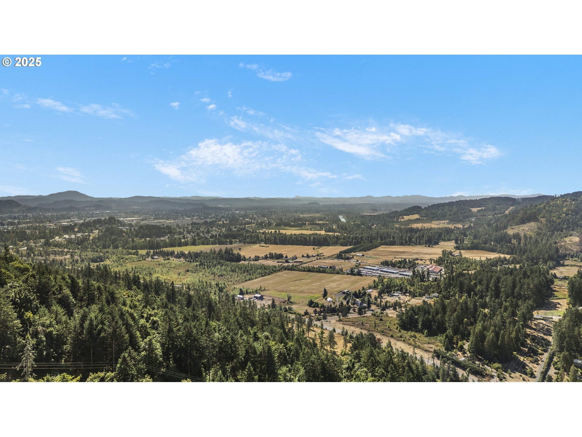 89112 Sky High Drive Springfield, OR 97478 - Photo 45 of 47 a view of city and mountain