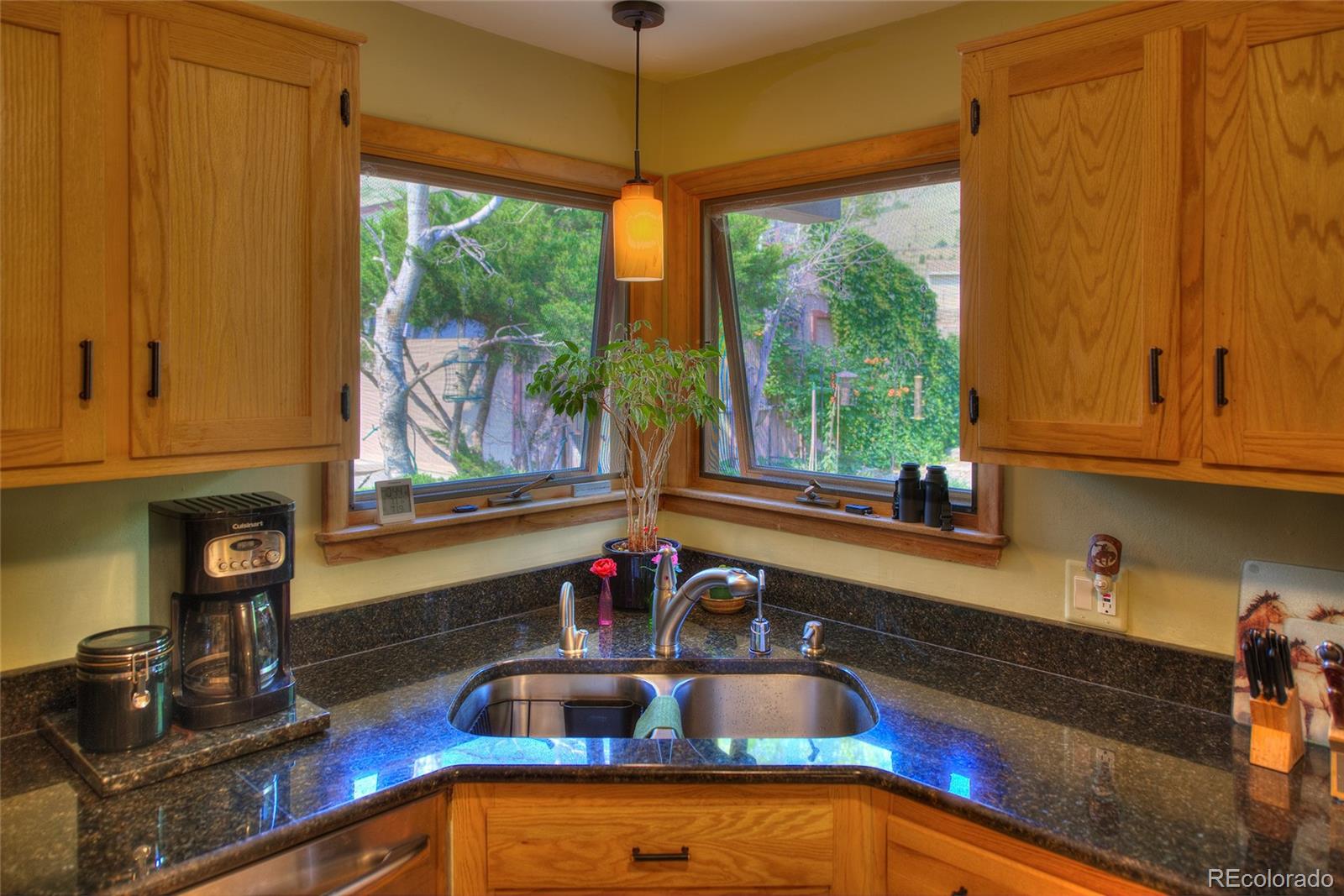 4805 Easley Road Golden, CO 80403 - Photo 5 of 32 Gallery Image 5
