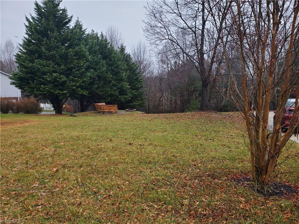 589 Reeves Mill Road Mount Airy, NC 27030 - Photo 6 of 20 Gallery Image 6