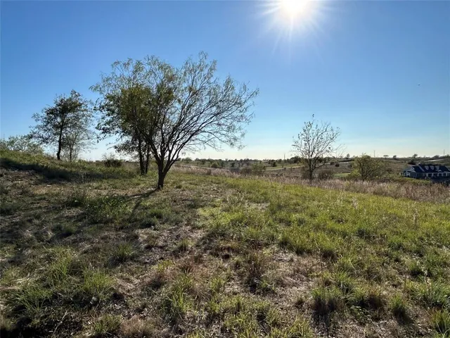 a view of a field with an trees