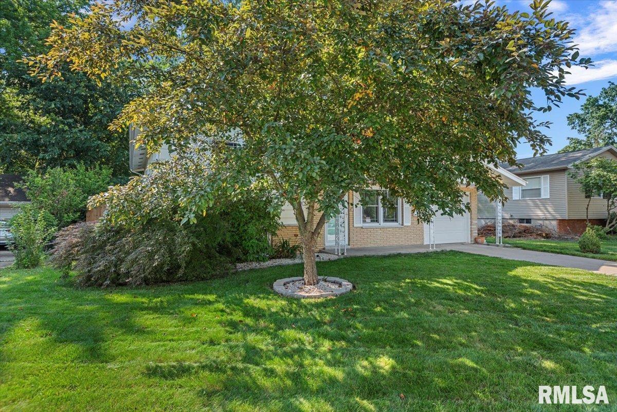 846 Roanoke Drive Springfield, IL 62702 - Photo 3 of 28