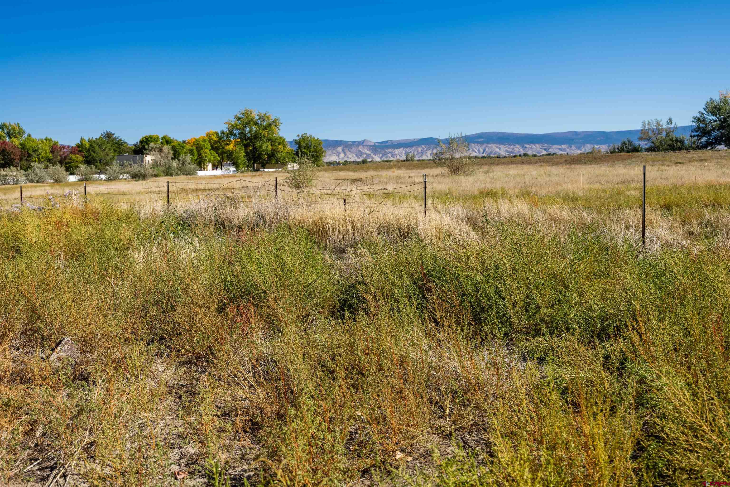 Tbd Lot 1 East Oak Grove Road Montrose, CO 81401 - Photo 5 of 11 a view of lake with green space