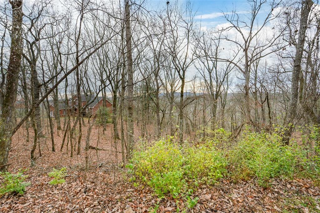 198 Hunters Ridge Jasper, GA 30143 - Photo 39 of 47