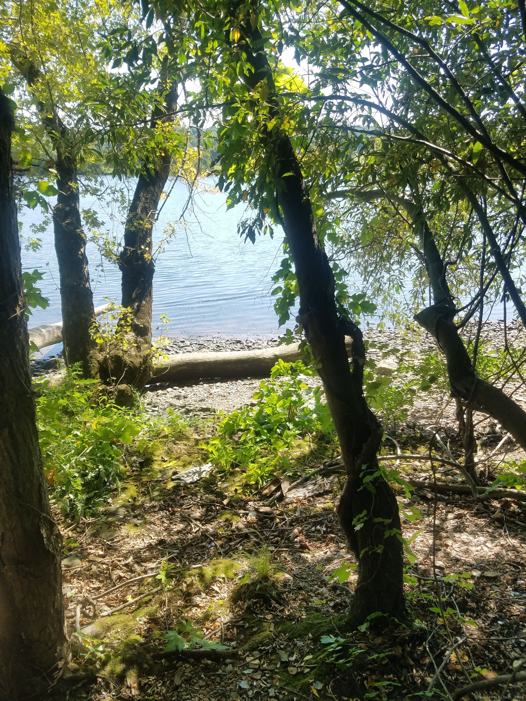 28-33 River Road Cromwell, CT 06416 - Photo 5 of 6 a view of a yard with large tree