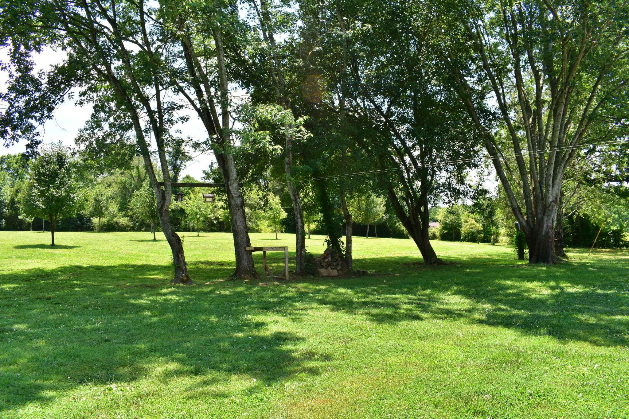 5858 Wolf Creek Road Spring City, TN 37381 - Photo 31 of 76