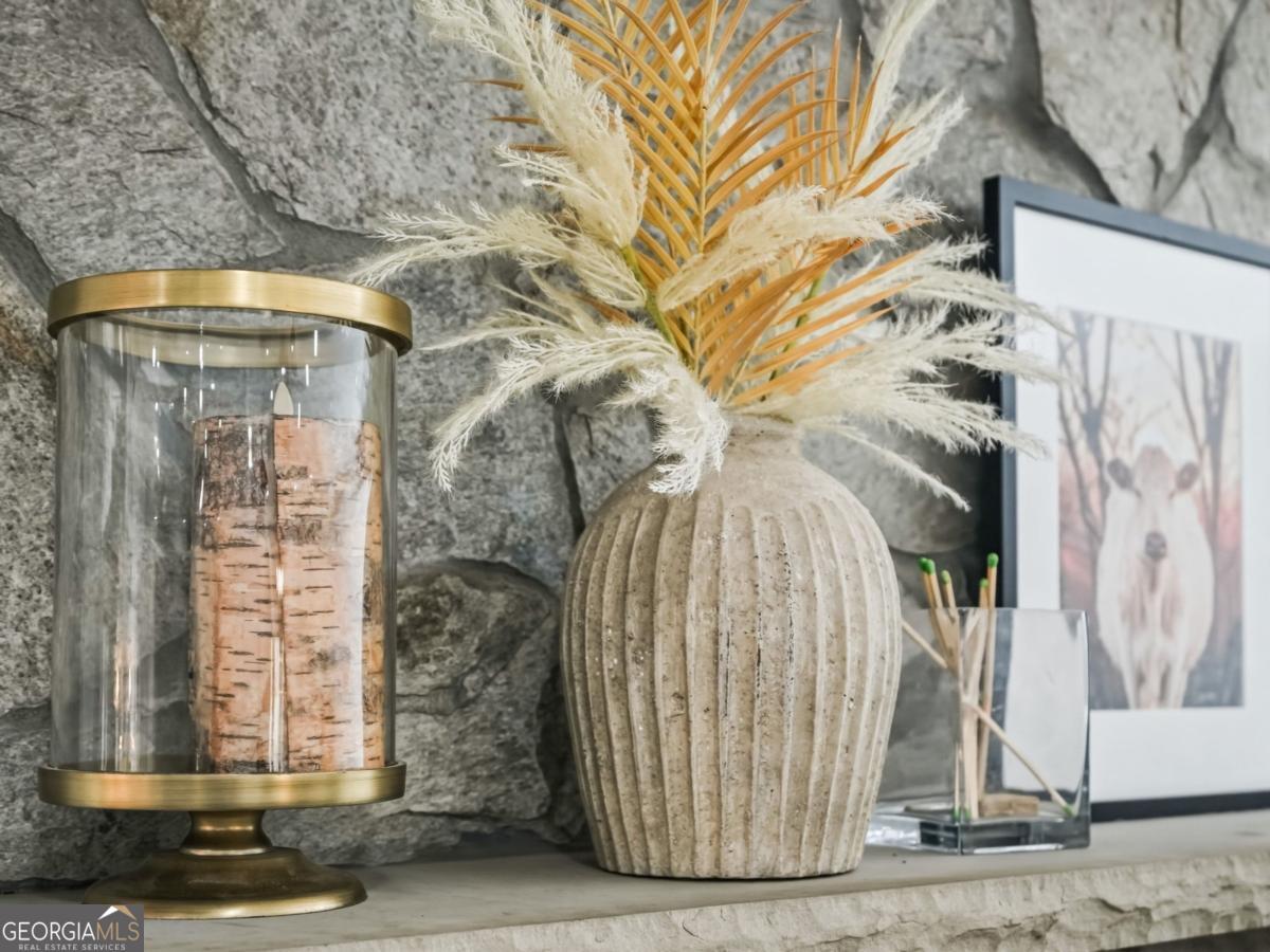 25 Walhala Trail, Unit 360 Blue Ridge, GA 30513 - Photo 7 of 52