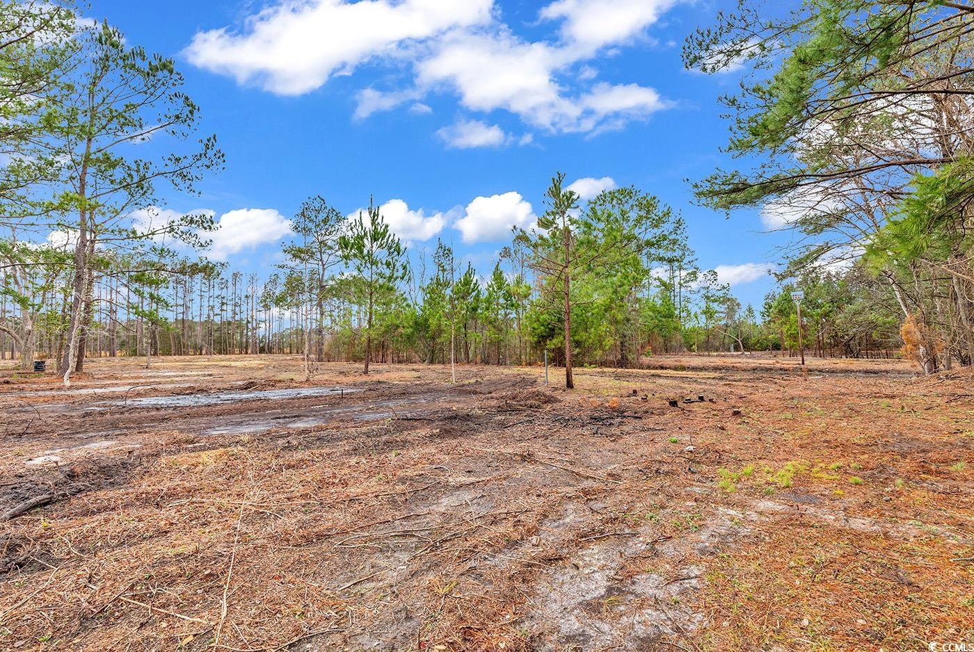 Tbd 2.09-ac Tbd 2.09-ac Red Bluff Road Loris, SC 29569 - Photo 1 of 8 Gallery Image 1