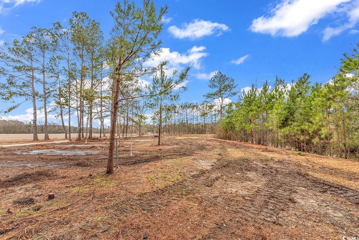 Tbd 2.09-ac Tbd 2.09-ac Red Bluff Road Loris, SC 29569 - Photo 3 of 8 Gallery Image 3