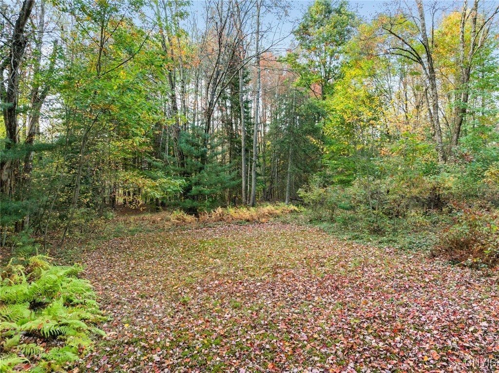 8259 New Floyd Road Floyd, NY 13440 - Photo 35 of 41