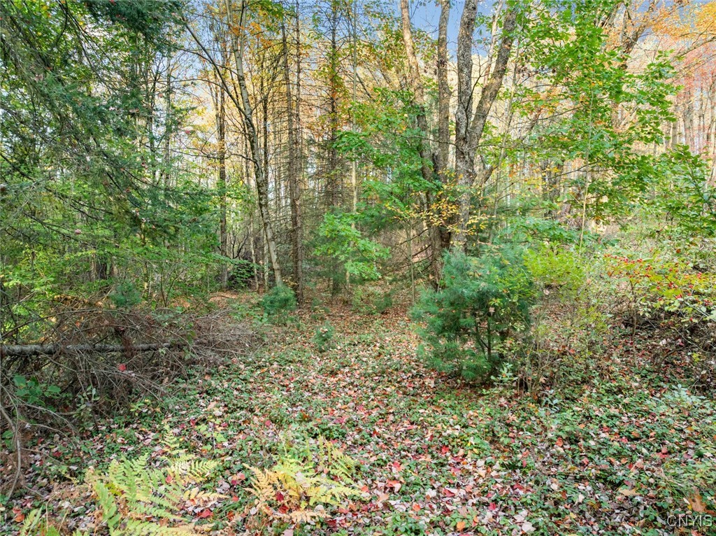 8259 New Floyd Road Floyd, NY 13440 - Photo 36 of 41