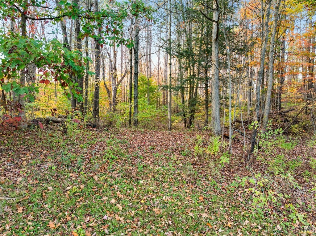 8259 New Floyd Road Floyd, NY 13440 - Photo 40 of 41