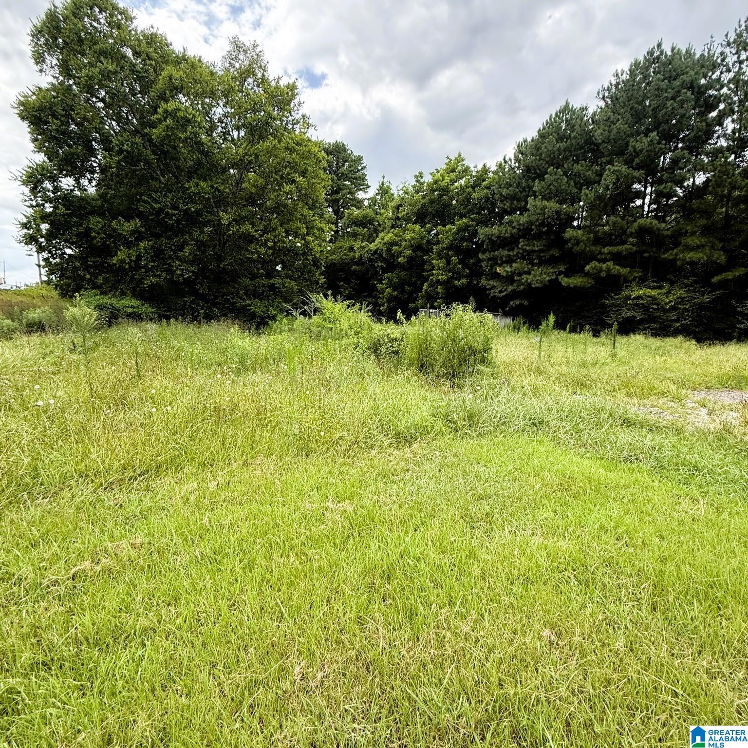 202 Johnson Landing Road, Unit 1 Valhermoso Springs, AL 35775 - Photo 3 of 6