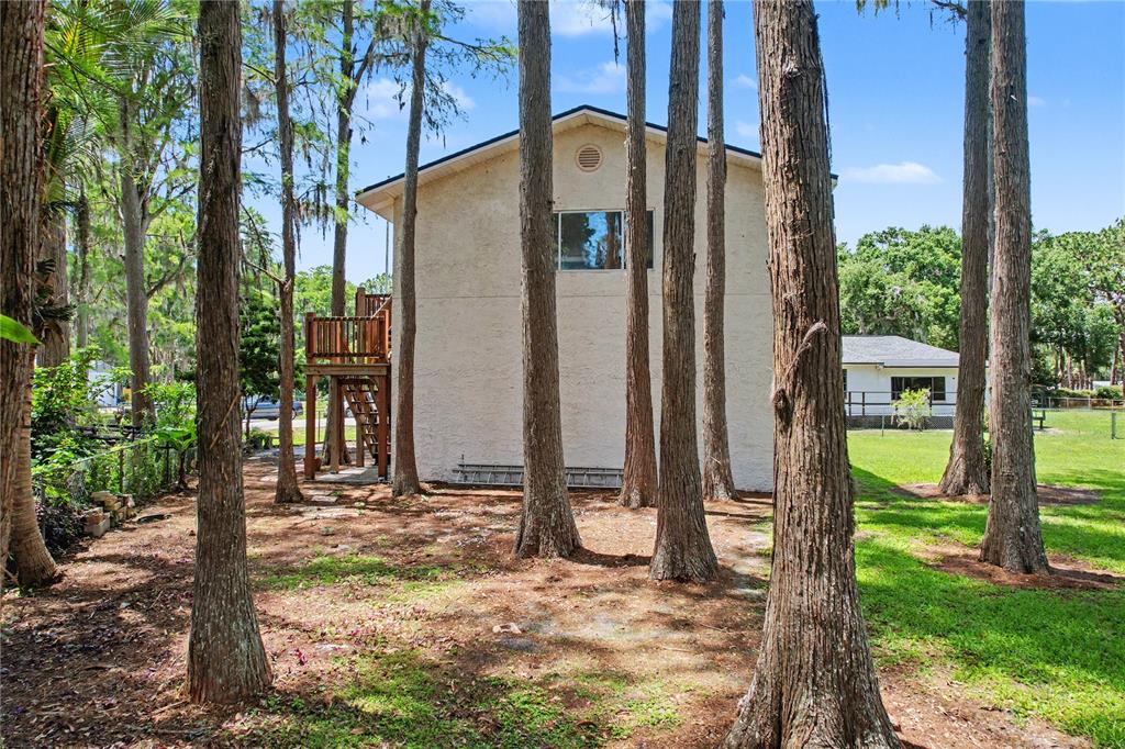17305 Sherman Road Lutz, FL 33558 - Photo 62 of 89