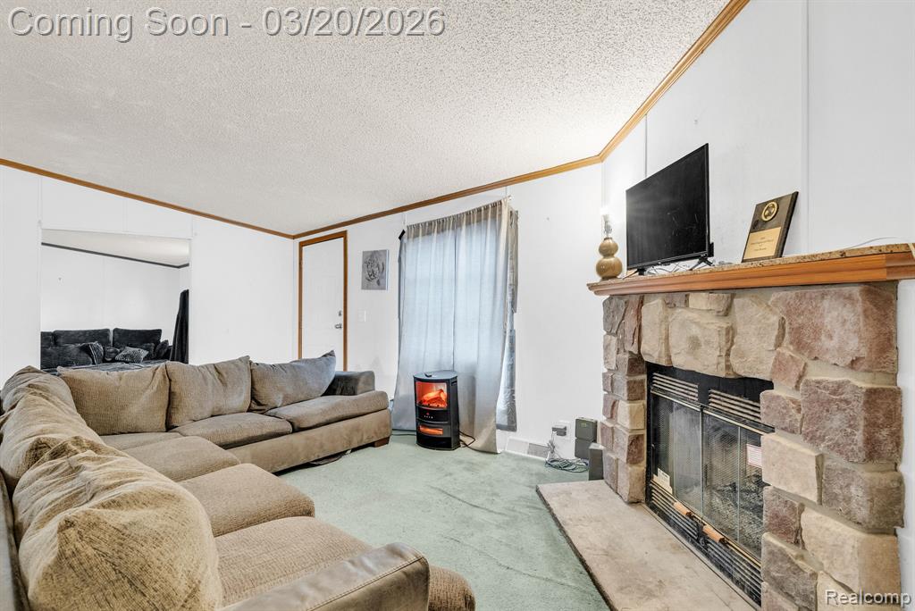 7151 Martin Road Imlay City, MI 48444 - Photo 3 of 49