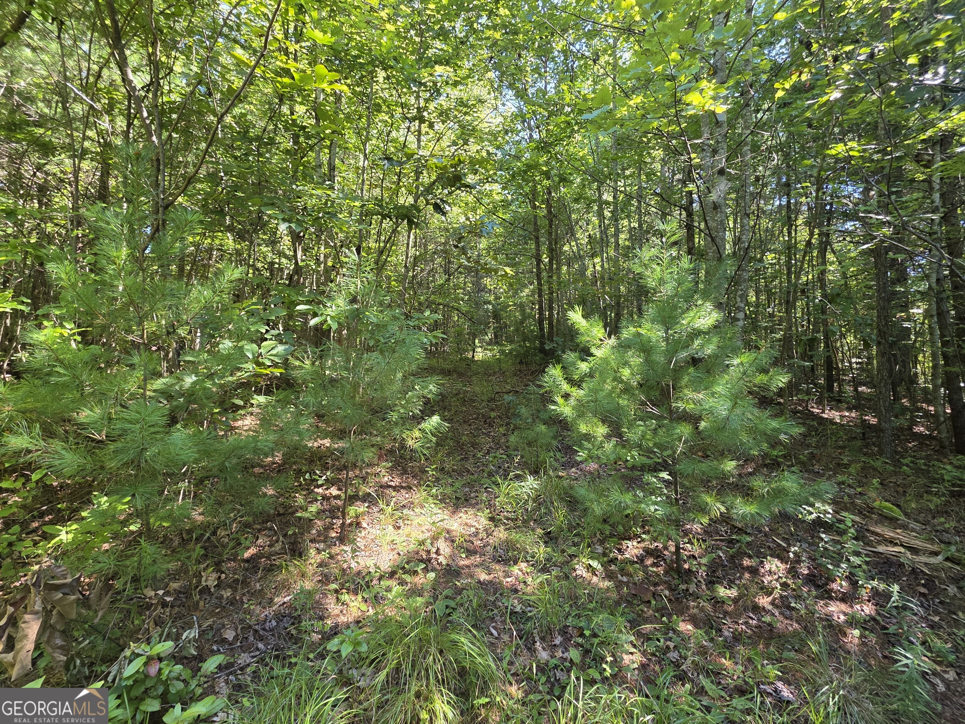34.98 Hall Road Turtletown, TN 37391 - Photo 28 of 47 Gallery Image 28
