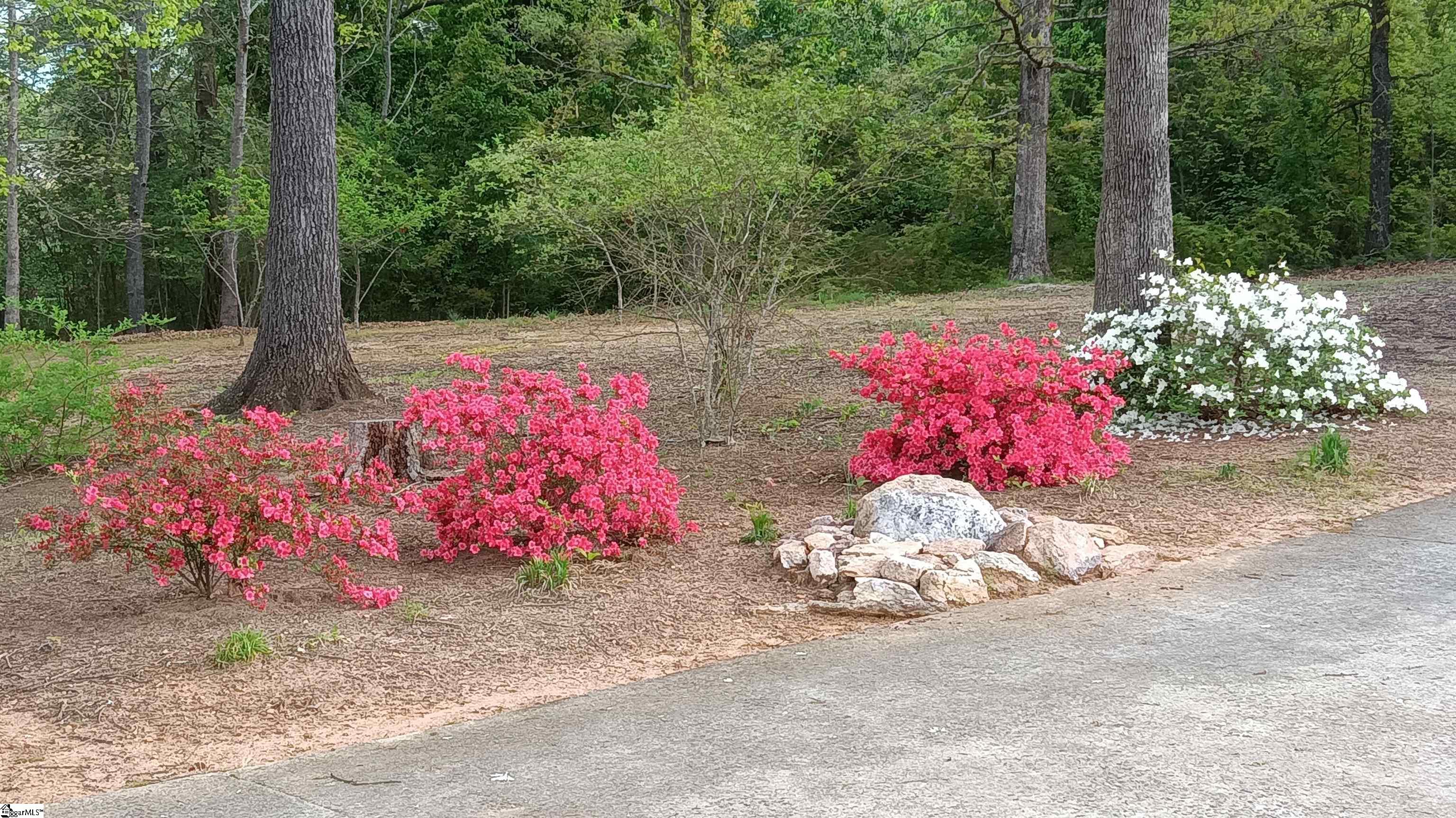 6535 Midway Road Williamston, SC 29697 - Photo 44 of 49