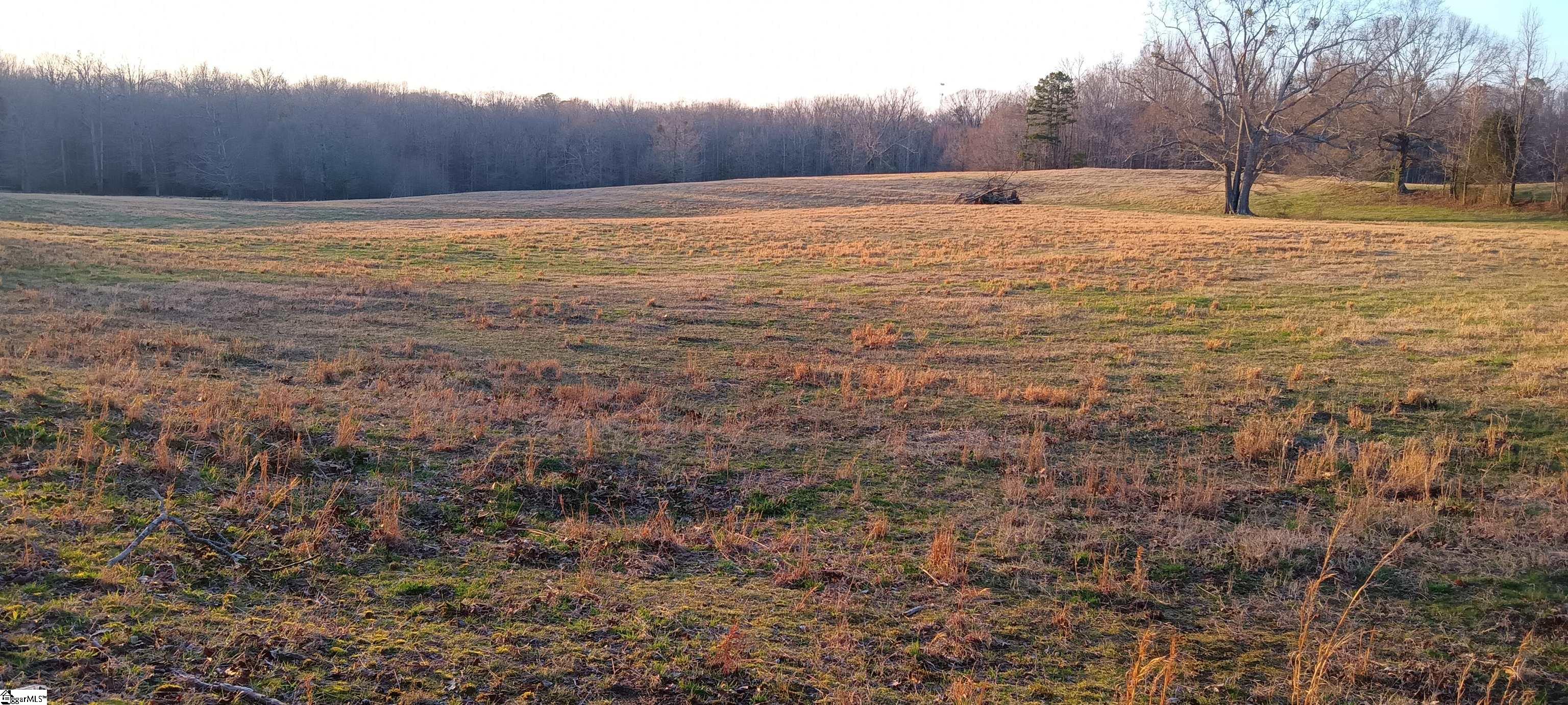 6535 Midway Road Williamston, SC 29697 - Photo 45 of 49