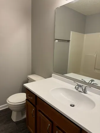 a bathroom with a sink and a toilet