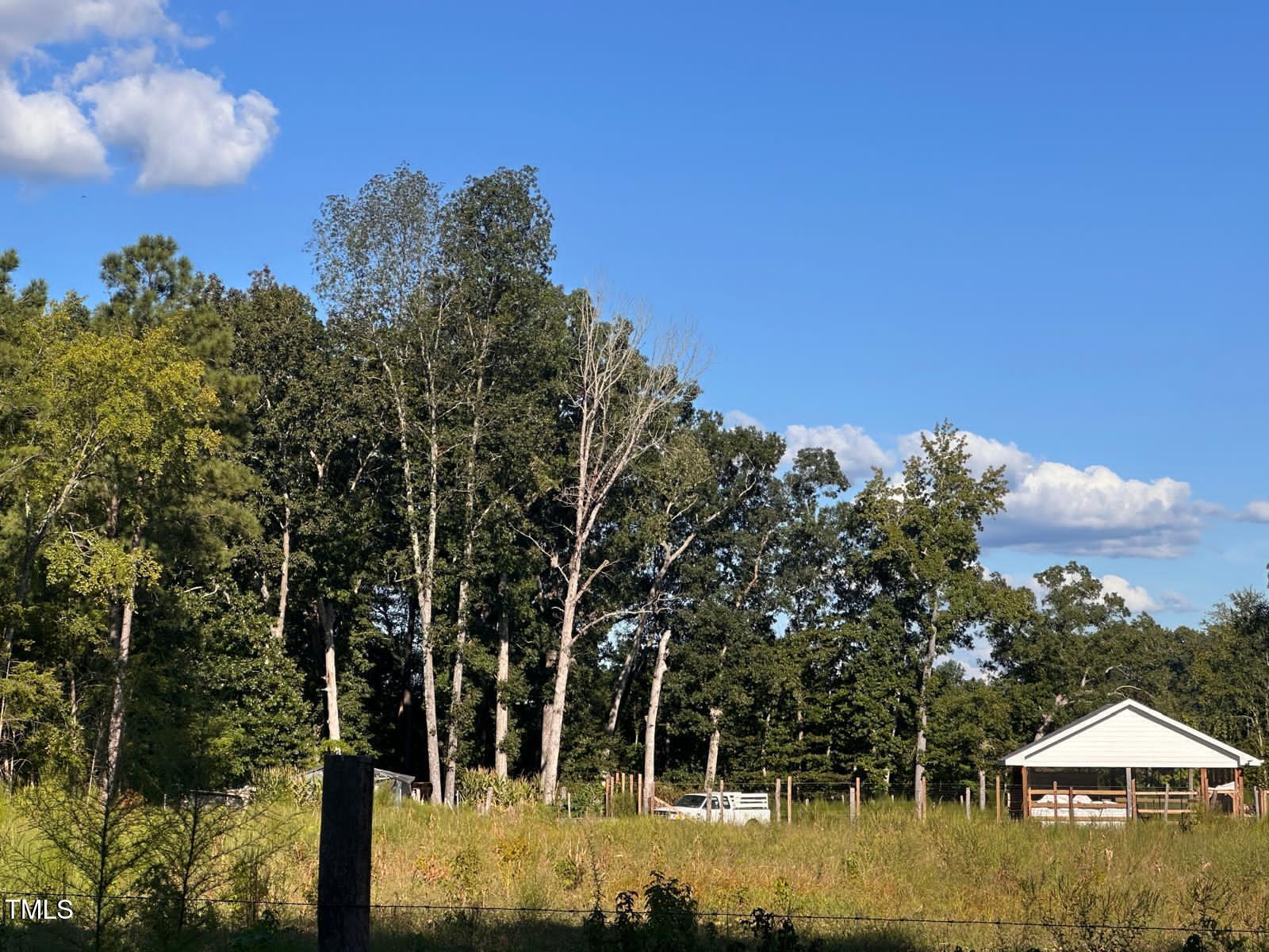 280 Chambers Road Rougemont, NC 27572 - Photo 6 of 26 987dd74d-989b-40b2-86a8-0e47d58353df