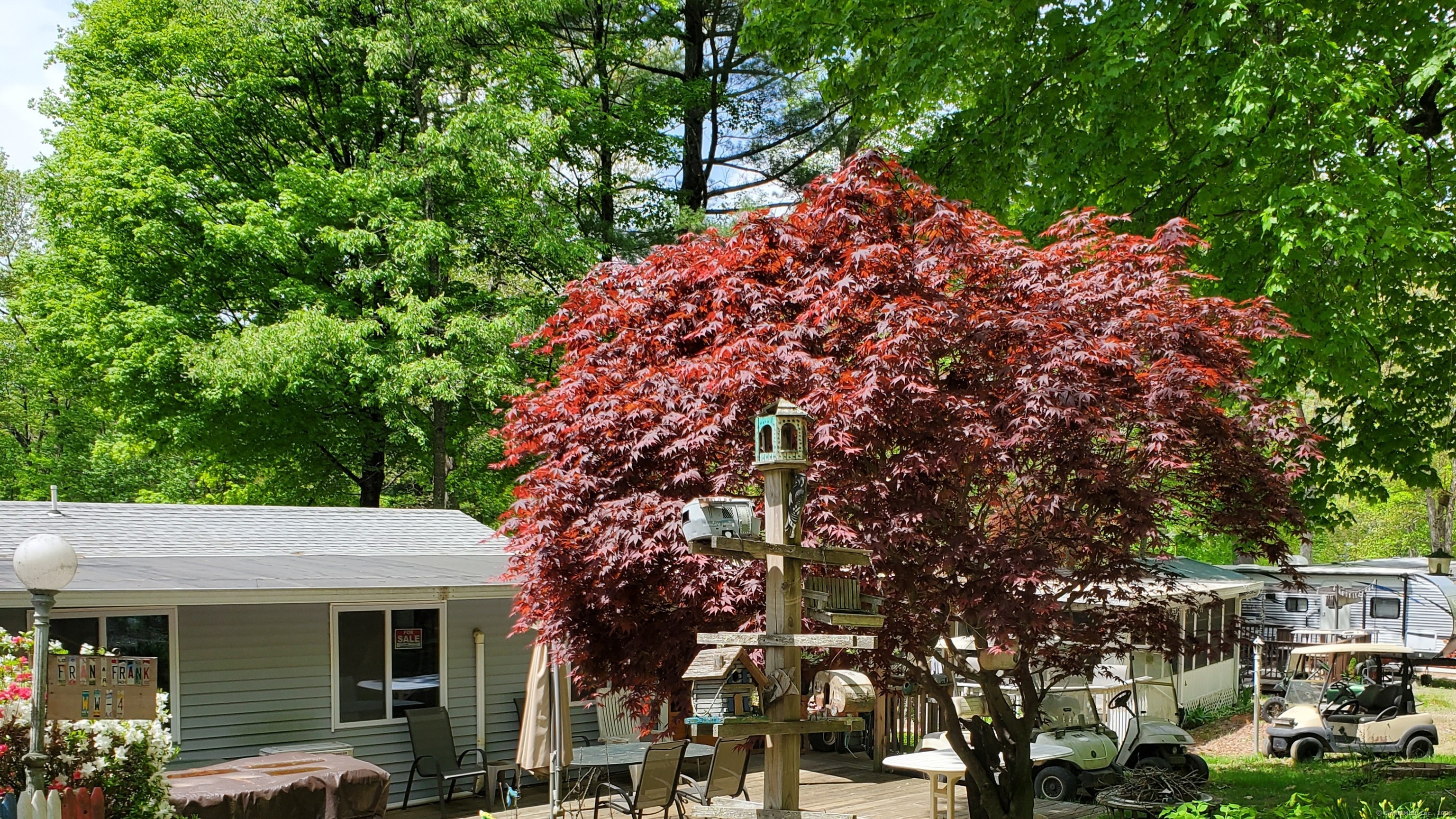 a backyard of a house with lots of green space