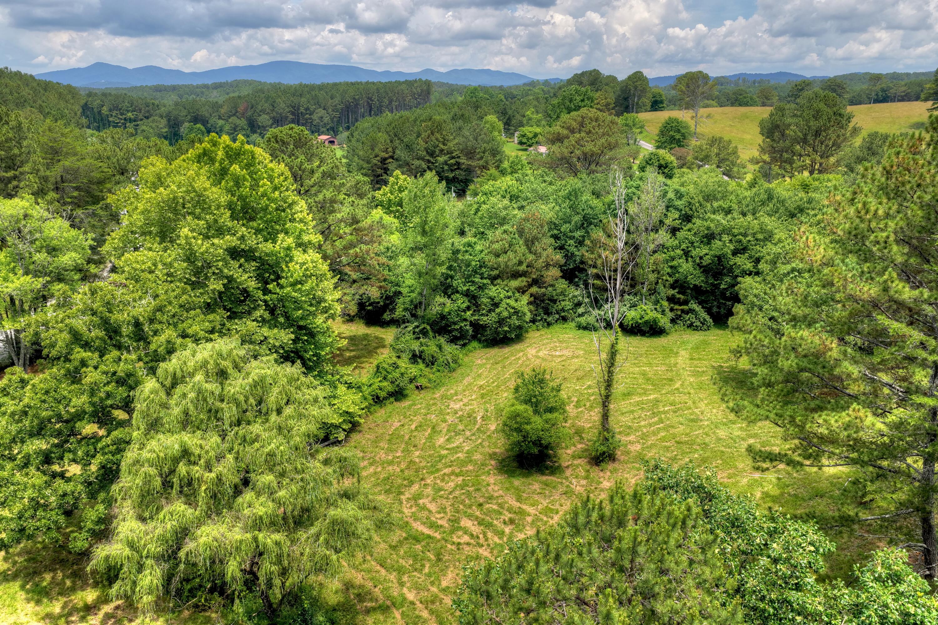 526 Airport Road Copperhill, TN 37317 - Photo 26 of 28 Airport Rd Byrd Property (26)